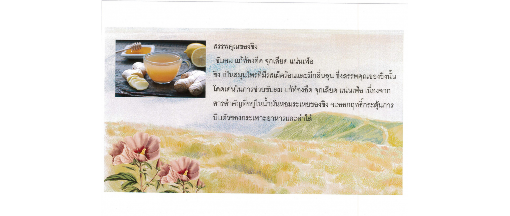 สวนสมุนไพรท้องถิ่น ทรงคุณค่า